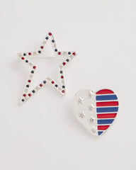 Chico's Outlet Multi Americana Brooch Set of Two