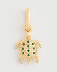 Chico's For Sale Multi Turtle Charm