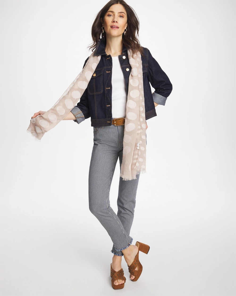 Chico's Online Denim Pinnacle Stripe Girlfriend Ankle Jeans