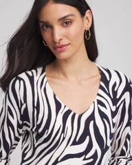 Chico's Sale Passport Blue Ella Zebra V-Neck Pullover Sweater
